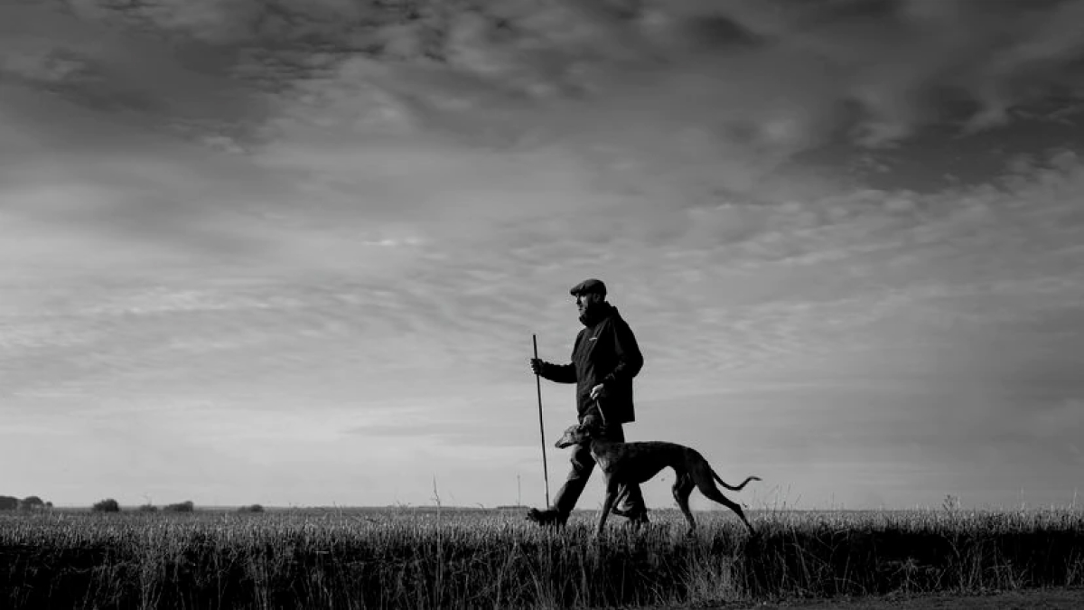 Geografía de un carácter